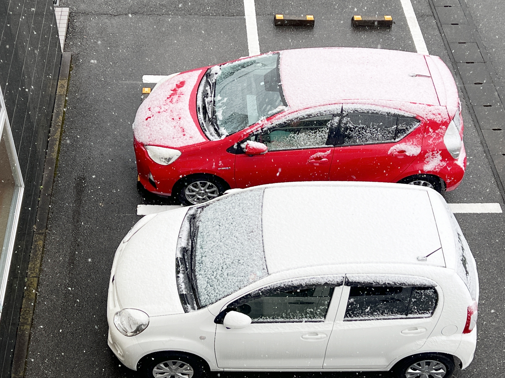 長岡 アパート 2人暮らし